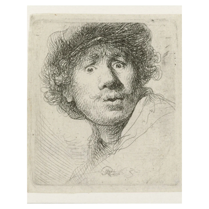 Gevoerde kunstsokken — comfortabel voor dagelijks gebruik.