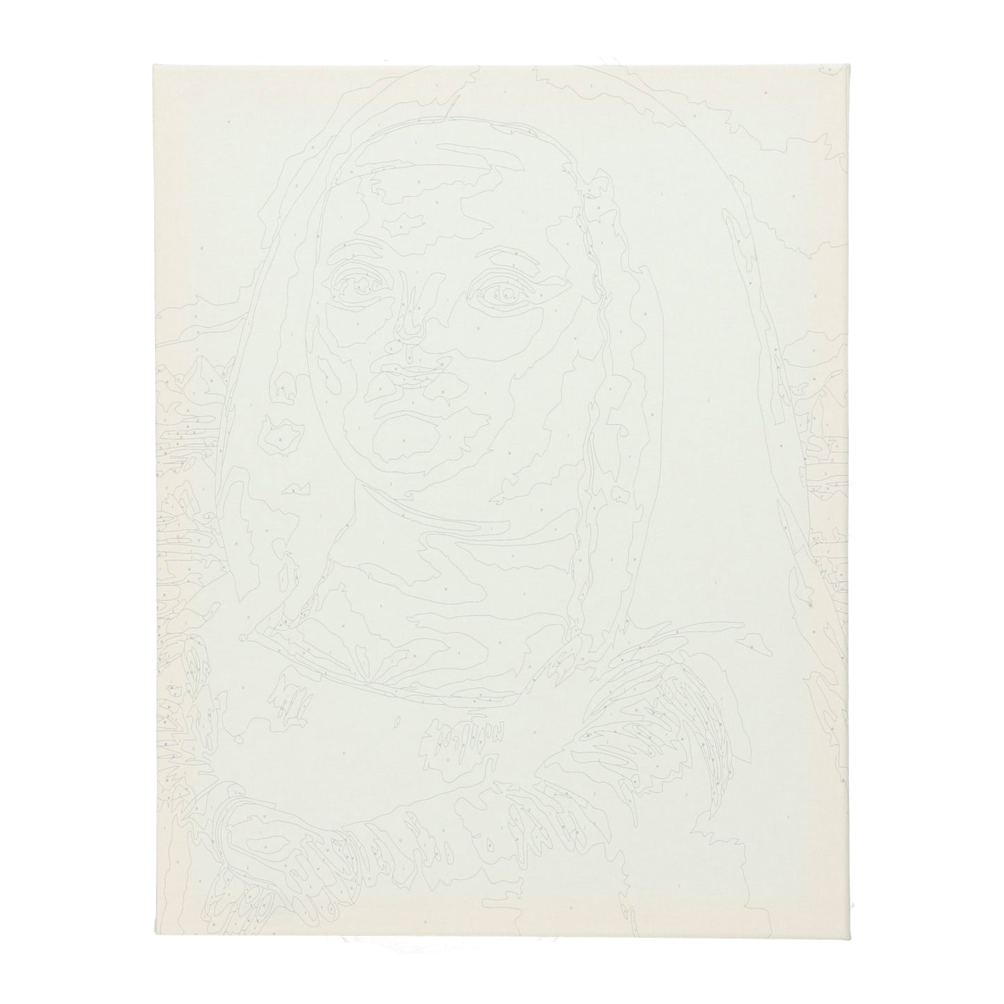 Dikke Mona Lisa - canvas - zelf creeeren van kunst - ideaal voor vrijgezellenfeest