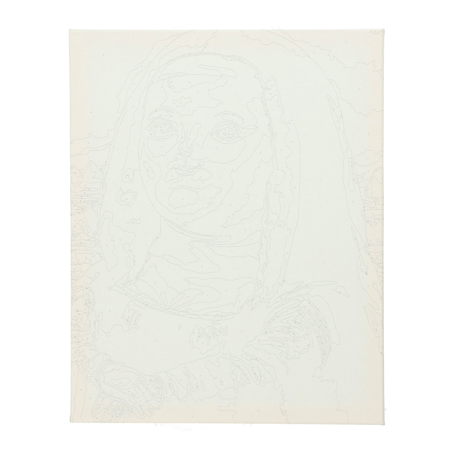 Dikke Mona Lisa - canvas - zelf creeeren van kunst - ideaal voor vrijgezellenfeest